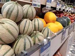 713-biocoop-bessan-ane-et-la-tuque-magasin-alimentation-bio-melon-pasteque-fruit-legume-saison.webp