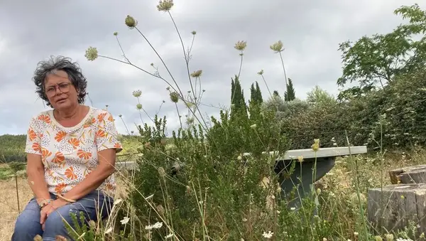Les plantes de Corinne Fabre